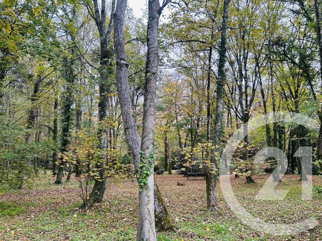 Appartement T3 à louer - 2 pièces - 50,98 m2 - Leognan - 33 - AQUITAINE